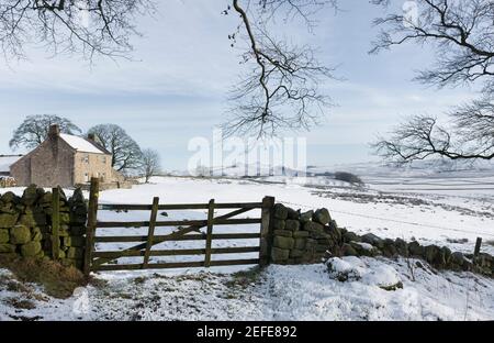 La vista ad ovest lungo il corso del Muro di Adriano, visto da Cockmount Hill - Northumberland, Regno Unito Foto Stock