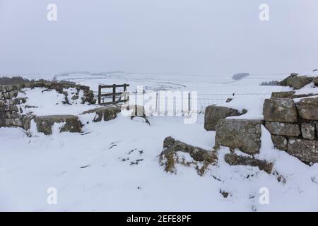 La porta nord di Milecastle 42 a Cawfield, il Muro di Adriano, Northumberland, Regno Unito Foto Stock