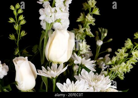 Bel bouquet di una varietà di fiori bianchi su un sfondo nero Foto Stock