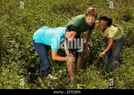 Vista ad alto angolo di tre amici in un campo Foto Stock