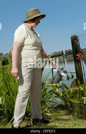 Donna anziana innaffiatura piante in un giardino Foto Stock