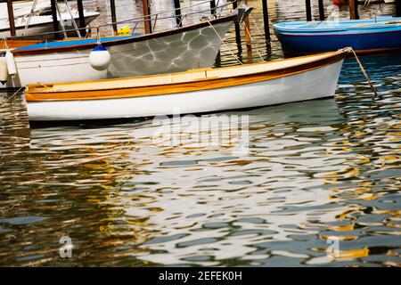 Barche ormeggiate in un porto, Marina Grande, Capri, Sorrento, Penisola Sorrentina, Provincia di Napoli, Campania, Italia Foto Stock