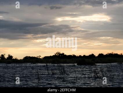 Nuvole su una palude, Delta di Okavango, Botswana Foto Stock