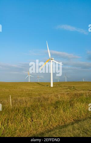 Turbine eoliche in un campo, Pakini Nui Wind Project, South Point, Big Island, Hawaii Islands, USA Foto Stock