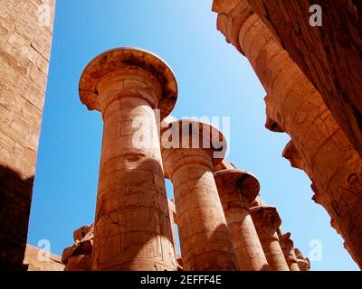 Vista ad angolo basso di colonne scolpite di un tempio, templi di Karnak, Luxor, Egitto Foto Stock