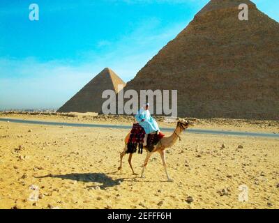 Un uomo su un cammello di fronte le piramidi di Giza, le Piramidi di Giza, il Cairo, Egitto Foto Stock