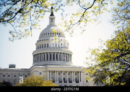 Facciata del Campidoglio degli Stati Uniti, Washington DC, USA Foto Stock