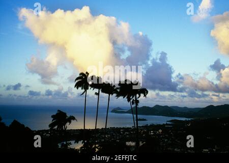 Gli alberi di palma sono visti contro la formazione di nubi tropicali sull'isola di Santa Lucia Foto Stock