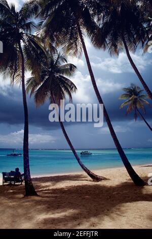 Spettacolare Seascape da Pigeon Point, Tobago Foto Stock