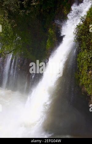 Cascata in una foresta, Tzararacua cascata, Uruapan, Michoacan stato, Messico Foto Stock