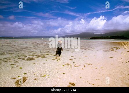 Uomo che cammina sulla spiaggia, Kabira Bay, Ishigaki, Ryukyus, Giappone Foto Stock