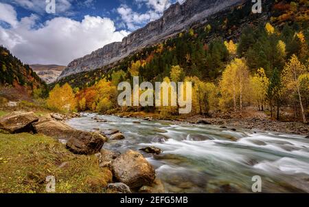 Fiume Arazas in autunno (Ordesa e Monte Perdido NP, Spagna, Pirenei) ESP: Río Arazas en otoño en Ordesa (PN Ordesa y Monte Perdido, Aragón, España) Foto Stock