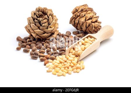 Coni di pino e pinoli pelati in paletta di legno isolata su fondo bianco. Foto Stock