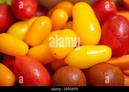 Pomodori piccoli da mangiare, Conowingo, Maryland Foto Stock