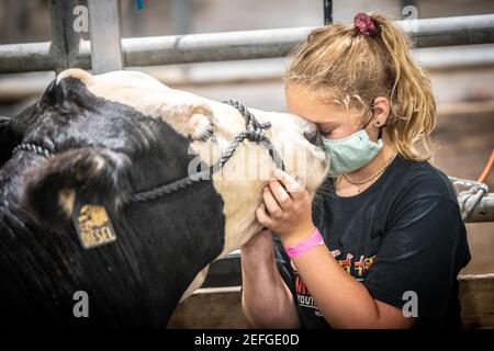 Giovane ragazza nuzzles il suo viso contro la mucca mentre indossa la maschera, Maryland state Fair, Timonium MD Foto Stock