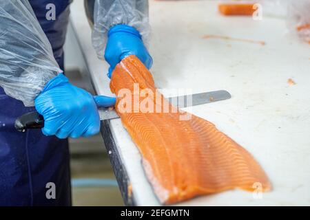 Operaio tagliando pezzi di salmone a frutti di mare impacchettando pianta, Jessup, MD Foto Stock