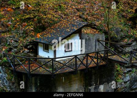 Particolare del Canyon Añisclo in autunno (Parco Nazionale di Ordesa e Monte Perdido, Spagna, Pirenei) ESP: Detalle del Cañón de Añisclo en otoño (Ordesa) Foto Stock