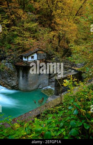 Particolare del Canyon Añisclo in autunno (Parco Nazionale di Ordesa e Monte Perdido, Spagna, Pirenei) ESP: Detalle del Cañón de Añisclo en otoño (Ordesa) Foto Stock