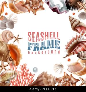 Cornice realistica decorata con conchiglie realistiche e animali marini illustrazione vettoriale di sfondo bianco Illustrazione Vettoriale