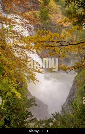 Valle della Pineta in autunno dopo una forte pioggia (Ordesa e Monte Perdido NP, Spagna) ESP: Valle de Pineta en otoño, después de unas lluvias intensas Foto Stock