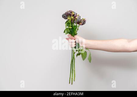 la mano dell'uomo tiene fuori un bouquet di fiori selvaggi e rappresenta una fig Foto Stock