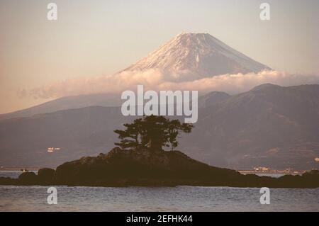 Albero su un'isola con una montagna sullo sfondo, Monte Fuji, Baia di Suruga, Prefettura di Shizuoka, Giappone Foto Stock