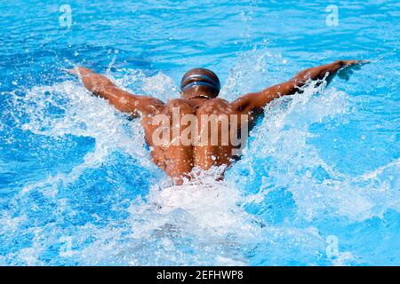 Vista posteriore di un uomo medio adulto che nuota la farfalla corsa in piscina Foto Stock