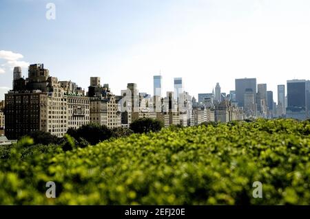 Grattacieli dietro gli alberi, New York City, New York state, Stati Uniti Foto Stock