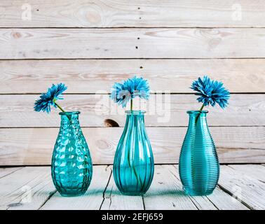 fiore di gerbera blu in un vaso su sfondo di legno e. Foto Stock