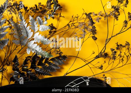 preparazione per una futura cartolina. Fiori secchi su sfondo colorato Foto Stock