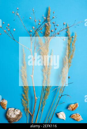preparazione per una futura cartolina. Fiori secchi su sfondo colorato Foto Stock