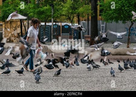 San Paolo, Brasile. 2 Ottobre 2014. Una donna alimenta i piccioni mentre gli uccelli volano intorno a lei, Largo Paissandu, Centro storico di San Paolo, Brasile. Foto Stock