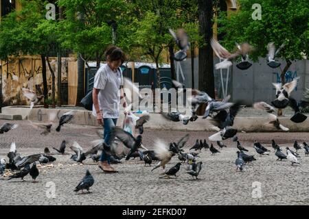 San Paolo, Brasile. 2 Ottobre 2014. Una donna alimenta i piccioni mentre gli uccelli volano intorno a lei, Largo Paissandu, Centro storico di San Paolo, Brasile. Foto Stock