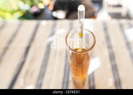 Misurazione del tenore di alcol nella birra. Una delle attrezzature più essenziali nella produzione domestica, densimetro in un bicchiere di birra. Foto Stock