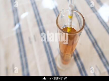 Misurazione del tenore di alcol nella birra. Una delle attrezzature più essenziali nella produzione domestica, densimetro in un bicchiere di birra. Foto Stock