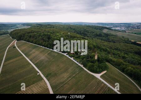 Heuchelberger Warte nel parco nazionale Stromberg-Heuchelberg Germania Foto Stock