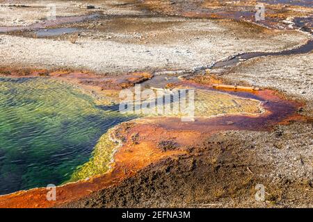 Abisso in piscina a Yellowstone di colori vivaci causata da batteri termofili Foto Stock