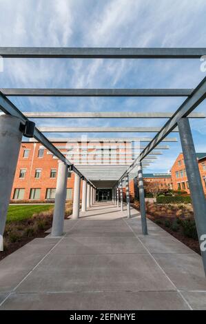 Scene intorno al Quad nel campus della WSU (Washington state University) a Vancouver, Washington. Foto Stock