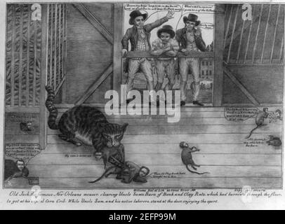 Il vecchio Jack, la famosa New Orleans mouser, compensazione lo zio Sam's Barn di bank e argilla ratti; ... Foto Stock