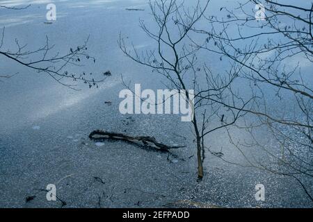 Wahner-Heide in Germania Foto Stock