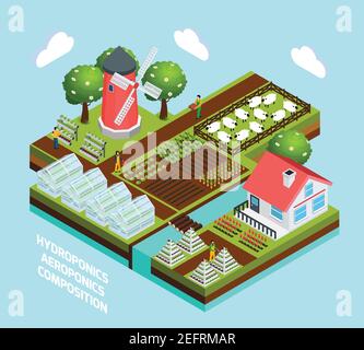 Concetto isometrico idroponico e aeronautico con simboli di serra e agricoltura illustrazione vettoriale Illustrazione Vettoriale