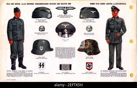 ONI JAN 1 Uniformes e Insignia pagina 042 Guardia ELITE armata tedesca Waffen-SS WW2 Field, abbigliamento di servizio uniformi NCO, EM. Cappucci, casco, fibbia, emblema, testa di morte Totenkopf, Ecc. Jan 1944 riconoscimento campo.. Foto Stock