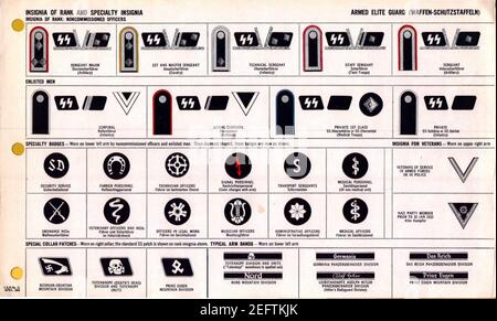 ONI JAN 1 Uniformes e Insignia pagina 045 Guardia Elite armata tedesca Waffen-SS WW2 Insignia di rango e specialità. Badge speciali, colletti, veterani, bracciali, ecc. riconoscimento sul campo aprile 1944. US doc. Pubblico Foto Stock