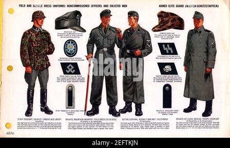 ONI JAN 1 Uniformes and Insignia Page 043 campo di guardia Elite armata tedesca Waffen-SS WW2, abbigliamento uniforme. NCO, EM. Camuffamento, Gebirgsjäger di montagna, Panzer, soprabito, ecc. gennaio 1944 riconoscimento campo.. Foto Stock