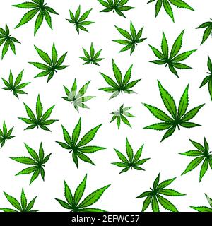 cannabis marijuana droga, erba erba legale sano piantato background Foto Stock