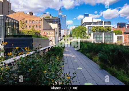Sezione di High Line Park a 23rd Street, West Side Manhattan, New York City, USA Foto Stock