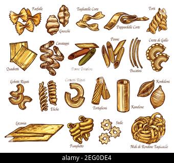 La pasta italiana ordina o digita icone di schizzo. Vettore isolato insieme di farfalle, gnocchi o tagliatelle e papardelle, cucina tradizionale italiana p Illustrazione Vettoriale