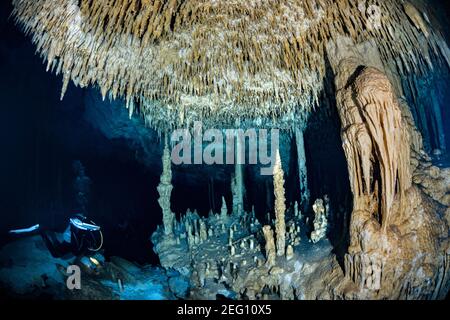 Tuffati all'interno di Cenote Dreamgate, penisola di Yucatan, Messico Foto Stock