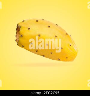 Un intero giallo pallido cactus frutta su sfondo luminante con tracciato di ritaglio Foto Stock