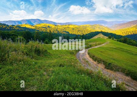 paesaggio rurale in montagna all'alba d'estate. strada di campagna attraverso pascoli erbosi che si snodano nella valle lontana. nuvole sul cielo blu abov Foto Stock